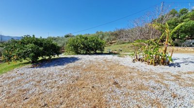 rjpncxvemn20250217111415