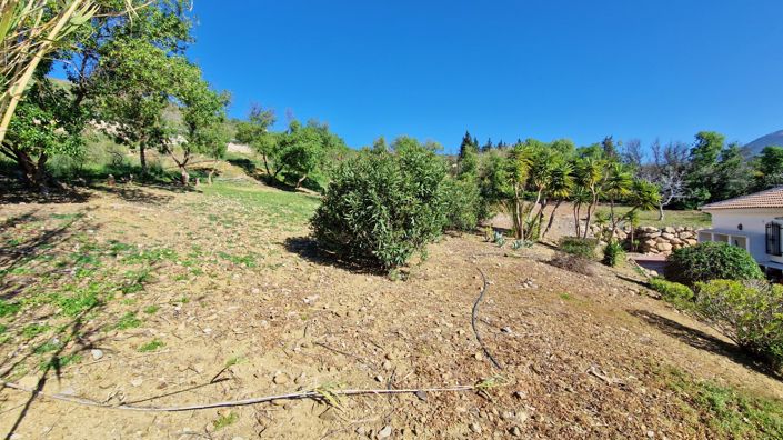 Image No.42-3 Bed Country House for sale