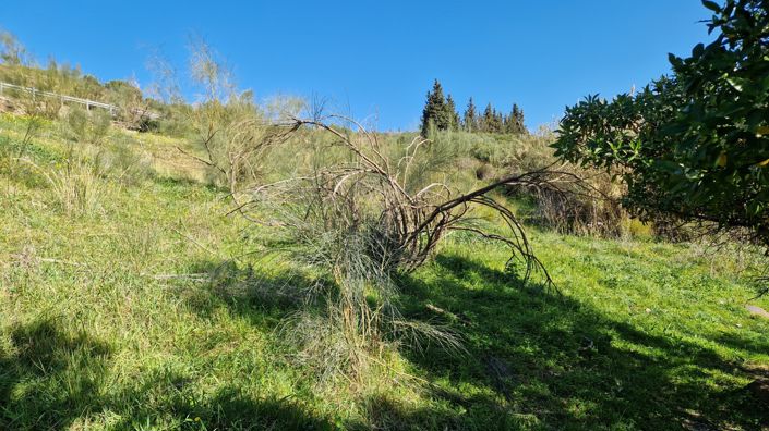 Image No.43-3 Bed Country House for sale