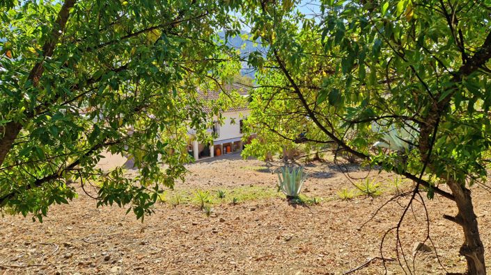 Image No.46-3 Bed Country House for sale