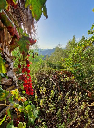 Image No.23-3 Bed Village House for sale