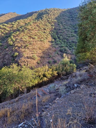 Image No.28-3 Bed Village House for sale