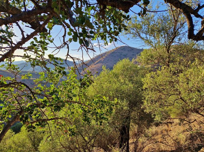 Image No.30-3 Bed Village House for sale