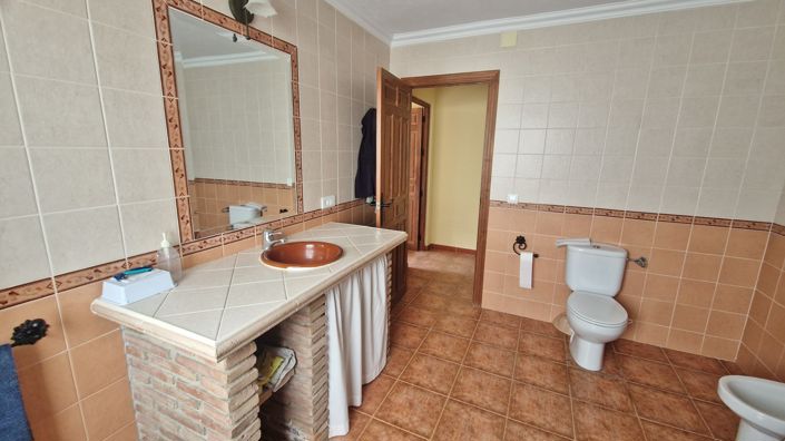 Image No.21-Ferme de 3 chambres à vendre à Trapiche