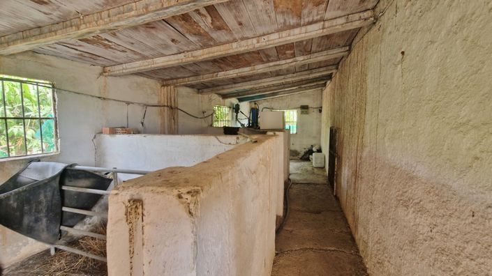 Image No.28-Ferme de 3 chambres à vendre à Trapiche