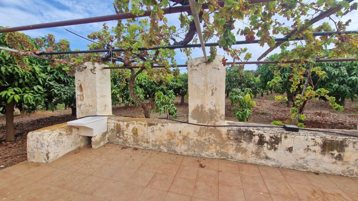 Image No.33-Ferme de 3 chambres à vendre à Trapiche