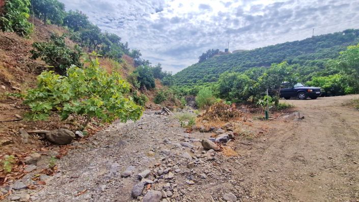 Image No.36-Ferme de 3 chambres à vendre à Trapiche