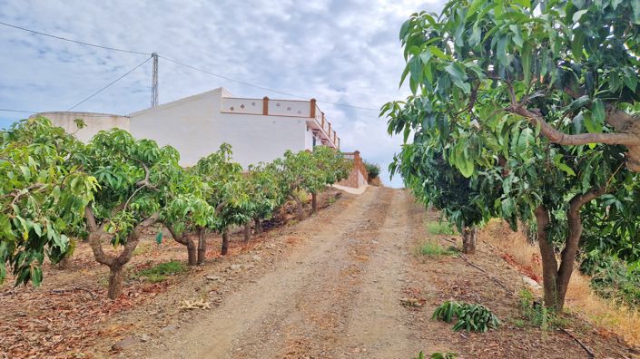Image No.37-Ferme de 3 chambres à vendre à Trapiche