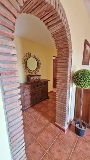 Image No.8-Ferme de 3 chambres à vendre à Trapiche