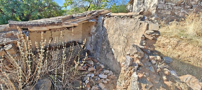 Image No.10-Finca for sale