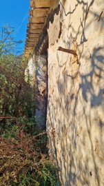 bwwaesu8tcuwhatsapp20image202025-11-1120at201