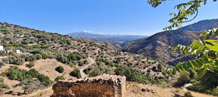 Image No.12-Finca for sale