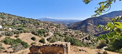 btubph2hfpnimg20251103112645