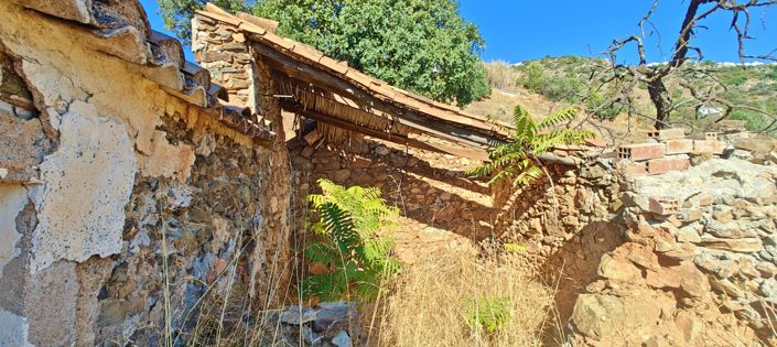 Image No.13-Finca for sale