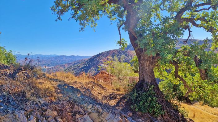 Image No.14-Finca for sale