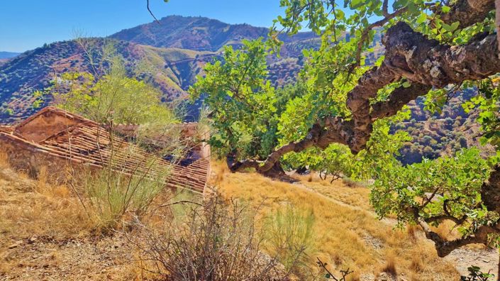 Image No.15-Finca for sale