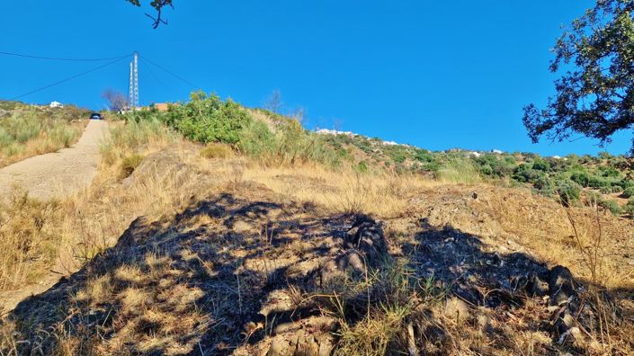 Image No.16-Finca for sale