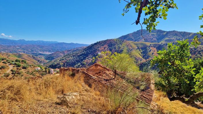 Image No.18-Finca for sale