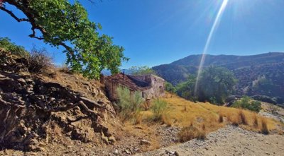 tkg7m817wxwhatsapp20image202025-11-1120at2015