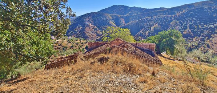 Image No.4-Finca for sale