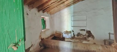 vawxpk4s47nimg20251103111859