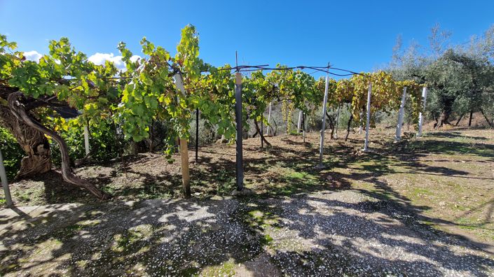 Image No.27-6 Bed Country House for sale