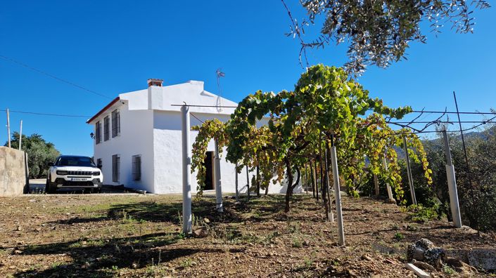 Image No.3-6 Bed Country House for sale