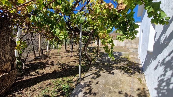 Image No.31-6 Bed Country House for sale