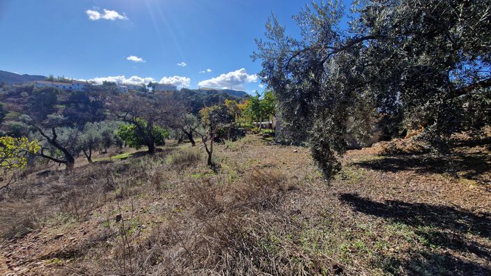 Image No.38-6 Bed Country House for sale