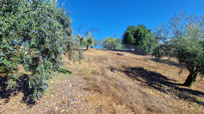 Image No.40-6 Bed Country House for sale