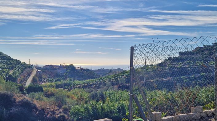 Image No.20-3 Bed Country House for sale