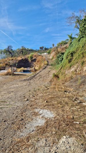 Image No.30-3 Bed Country House for sale