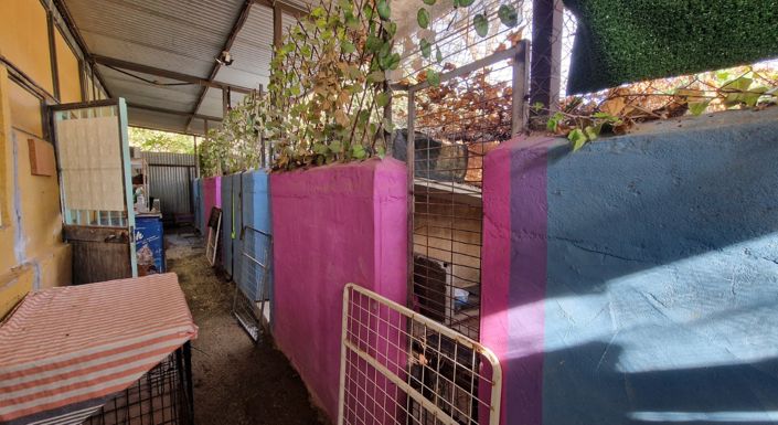 Image No.44-3 Bed Country House for sale