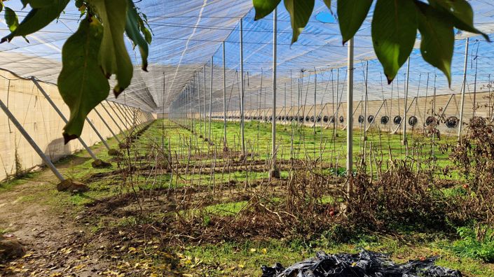 Image No.30-2 Bed Country House for sale