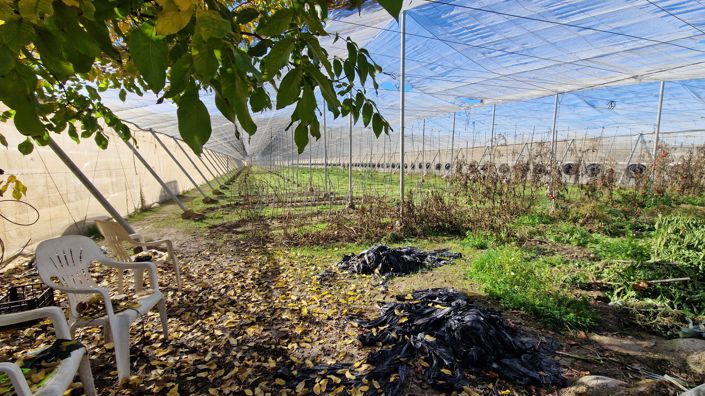 Image No.31-2 Bed Country House for sale