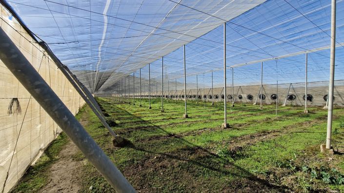 Image No.32-2 Bed Country House for sale