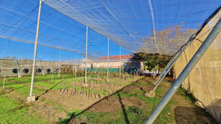 Image No.33-2 Bed Country House for sale