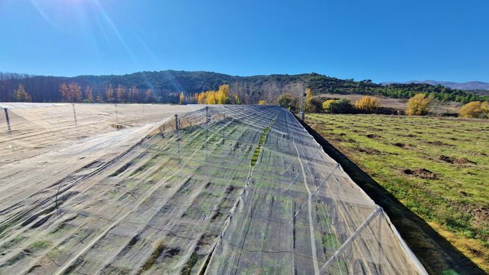 Image No.36-2 Bed Country House for sale