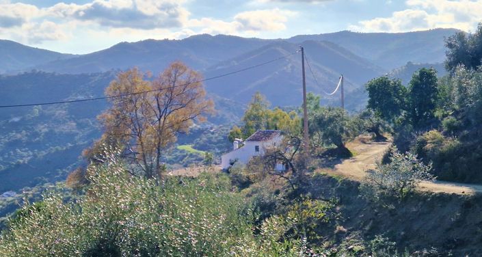 Image No.3-3 Bed Country House for sale