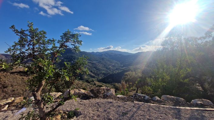 Image No.9-3 Bed Country House for sale