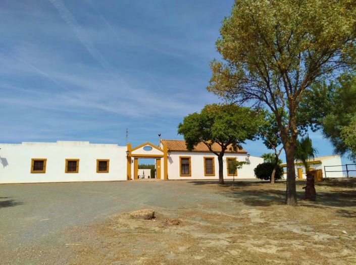 Image No.3-4 Bed Cortijo for sale