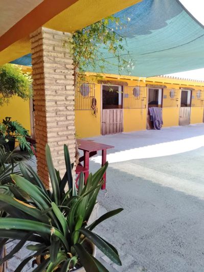 Image No.9-4 Bed Cortijo for sale