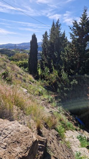 Image No.7-Maison de campagne de 3 chambres à vendre à Benamargosa