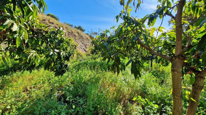 Image No.9-Maison de campagne de 3 chambres à vendre à Benamargosa