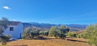 56f7x5ibvqk20260115111613