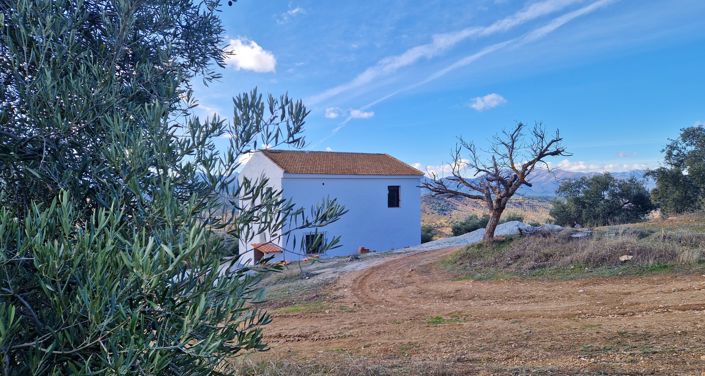 Image No.3-Maison de campagne de 3 chambres à vendre à Jayena