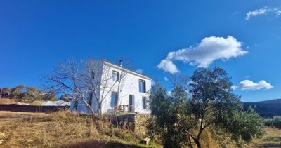 4rb88ie44re20260115114453