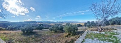 ittapzdr38d20260115121339