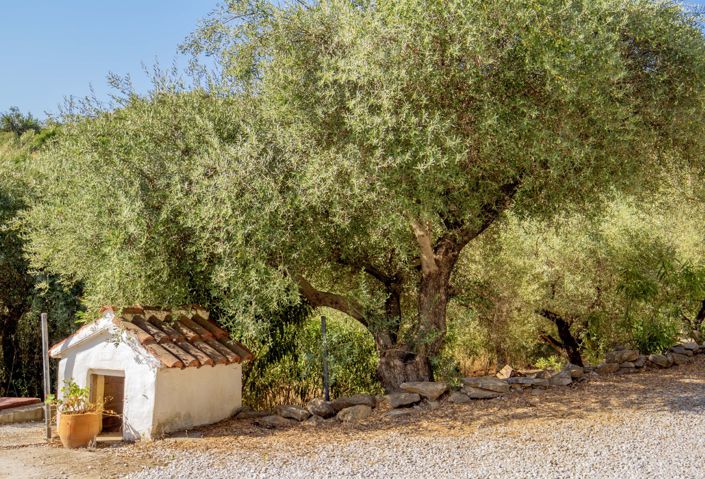 Image No.29-4 Bed Country House for sale