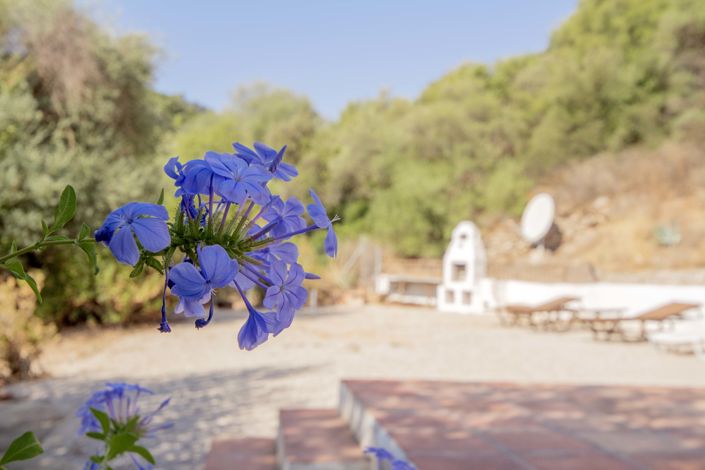 Image No.32-4 Bed Country House for sale